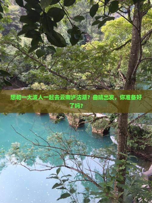 曲靖去云南泸沽湖大型旅游团