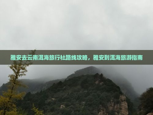 雅安去云南洱海旅行社
