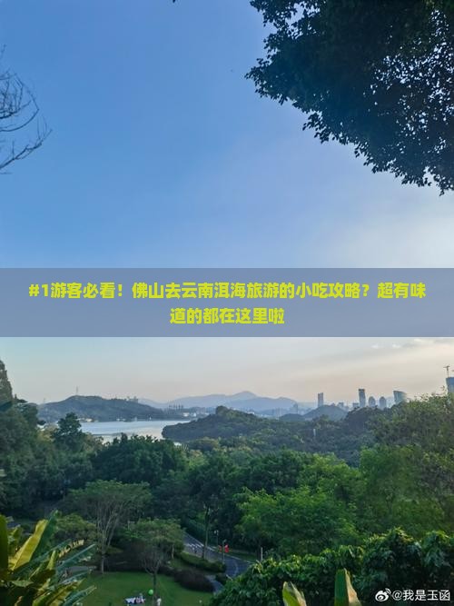 佛山到云南洱海旅游小吃