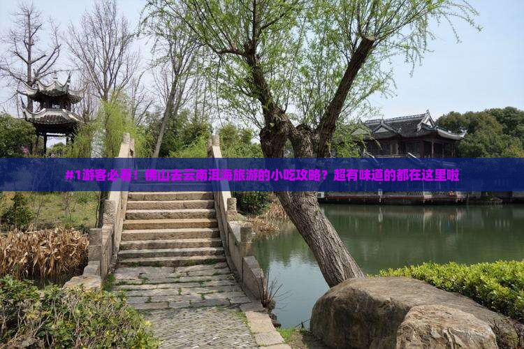 佛山到云南洱海旅游小吃
