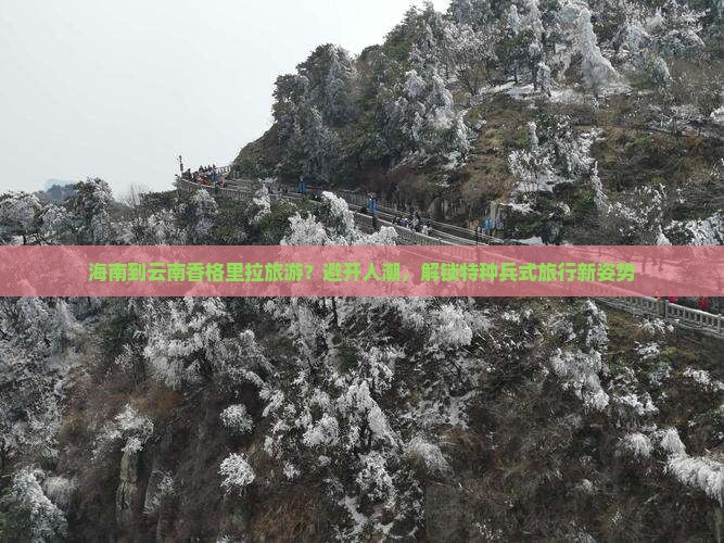 海南去云南香格里拉旅游