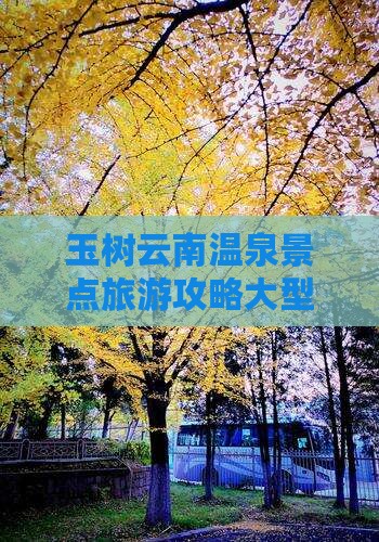 玉树去云南温泉大型旅游团