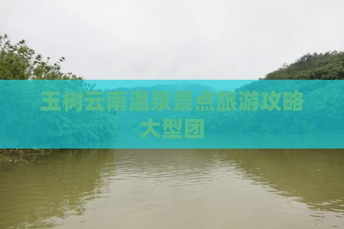 玉树去云南温泉大型旅游团