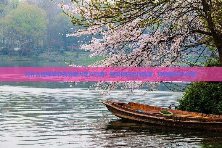 毕节去云南大理六日游