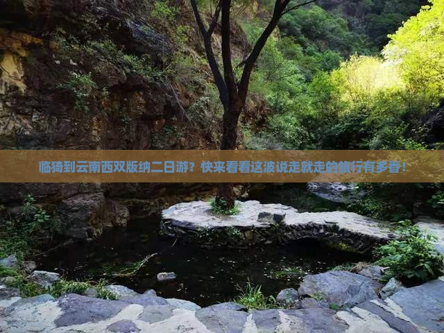 临猗去云南西双版纳二日游