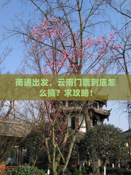 南通到云南门票