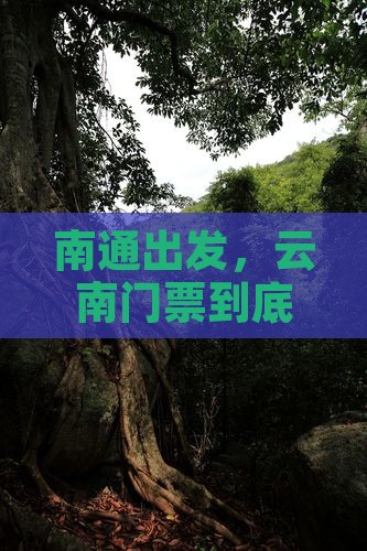 南通到云南门票