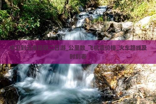 中卫到云南昆明二日游