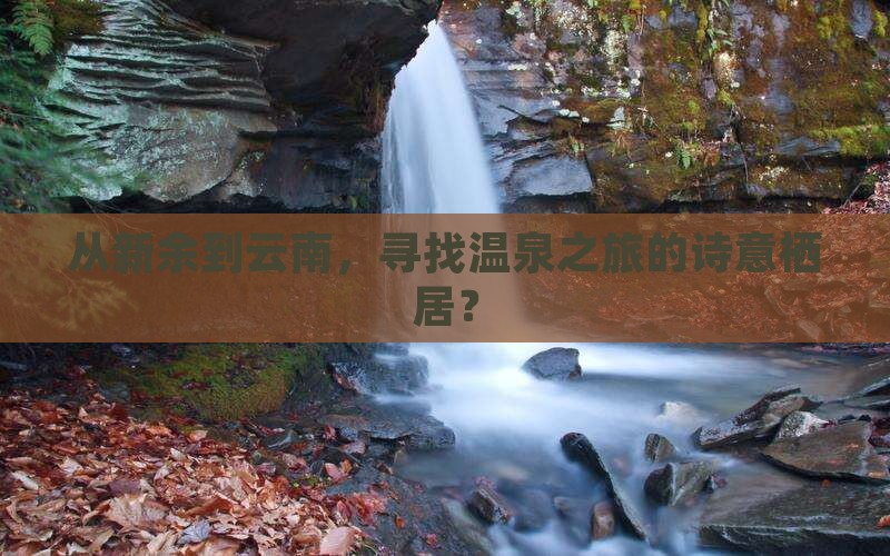 新余去云南温泉旅行社