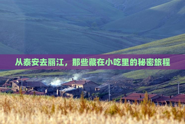 泰安到云南丽江旅游小吃