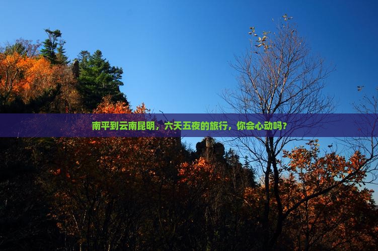 南平去云南昆明六日游
