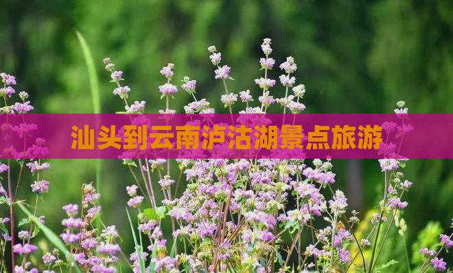 汕头到云南泸沽湖景点
