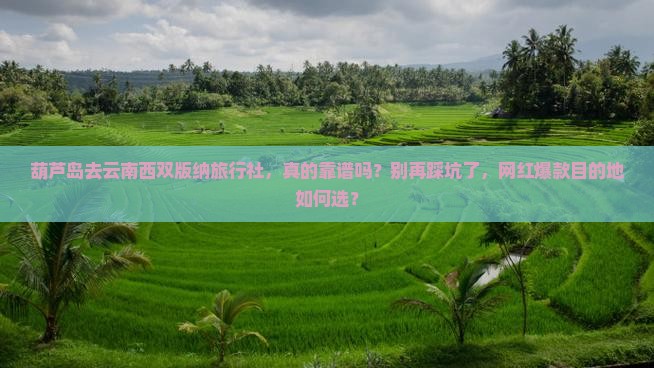 葫芦岛去云南西双版纳旅行社