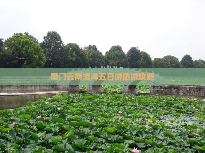 厦门到云南洱海五日游