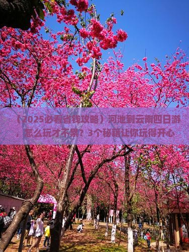 河池到云南四日游