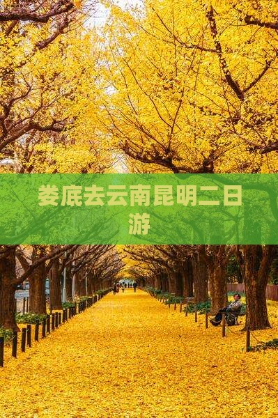 娄底去云南昆明二日游