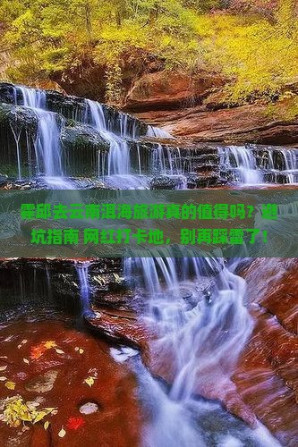 霍邱去云南洱海旅游