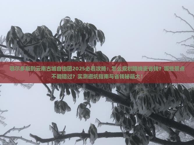 鄂尔多斯到云南古城自由团