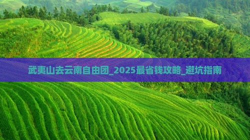 武夷山去云南自由团
