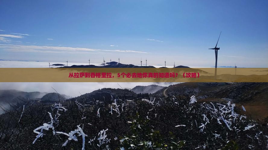 拉萨去云南香格里拉必去地