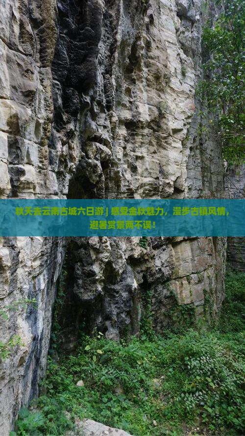 秋天去云南古城六日游