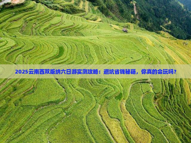 五月到云南西双版纳六日游
