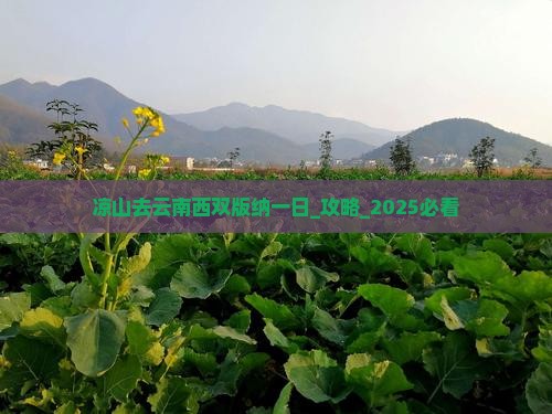 凉山去云南西双版纳一日