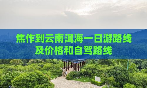 焦作到云南洱海一日