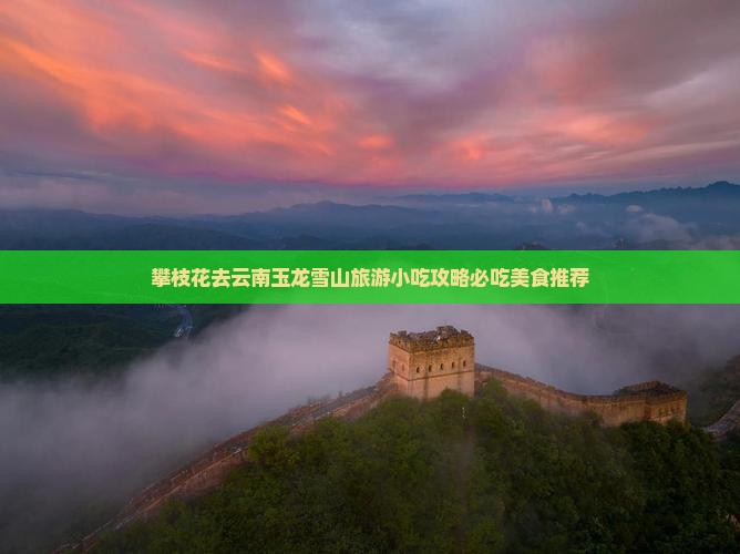 攀枝花去云南玉龙雪山旅游小吃