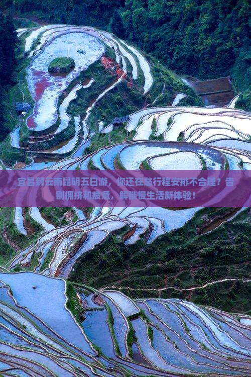 宜昌到云南昆明五日游
