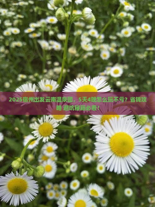 宿州到云南温泉大型旅游团
