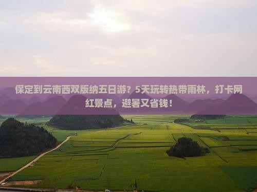 保定到云南西双版纳五日游