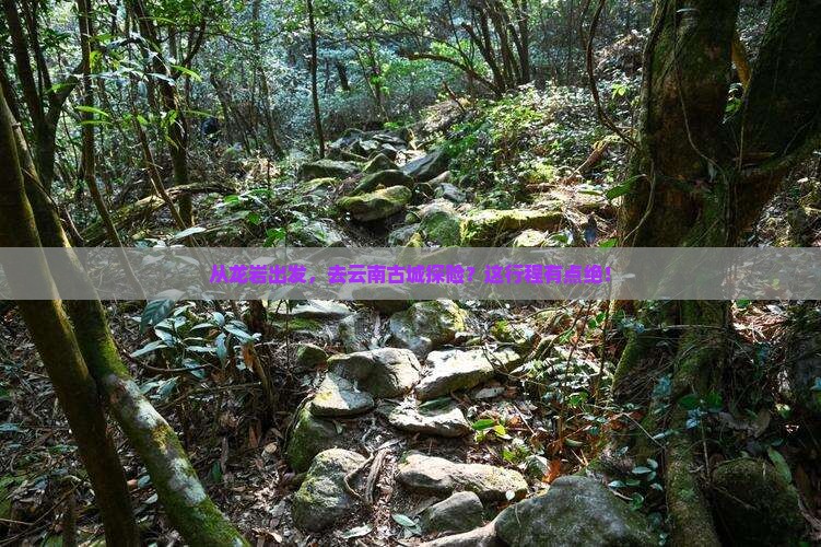 龙岩去云南古城旅行社