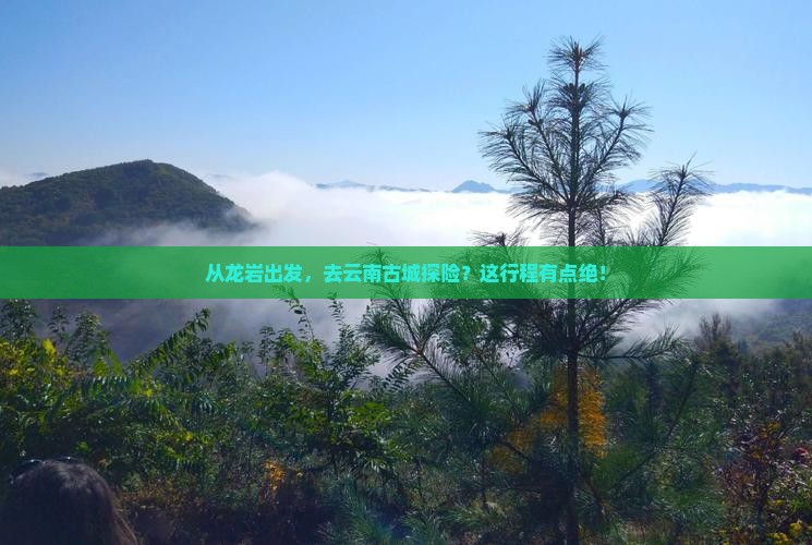 龙岩去云南古城旅行社