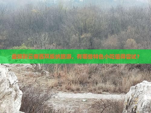 盘锦到云南西双版纳旅游小吃 盘锦到云南西双版纳旅游小吃