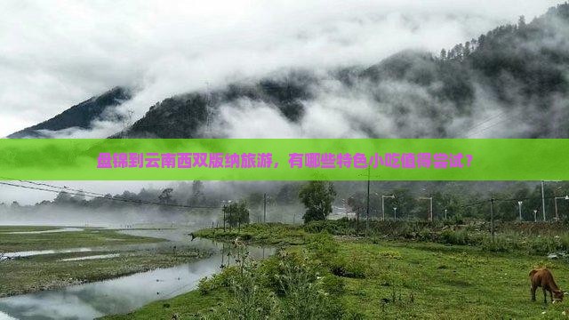 盘锦到云南西双版纳旅游小吃 盘锦到云南西双版纳旅游小吃