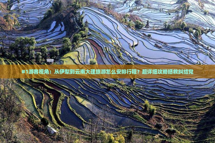 伊犁去云南大理旅游