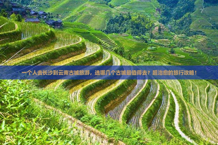 长沙到云南古城旅游