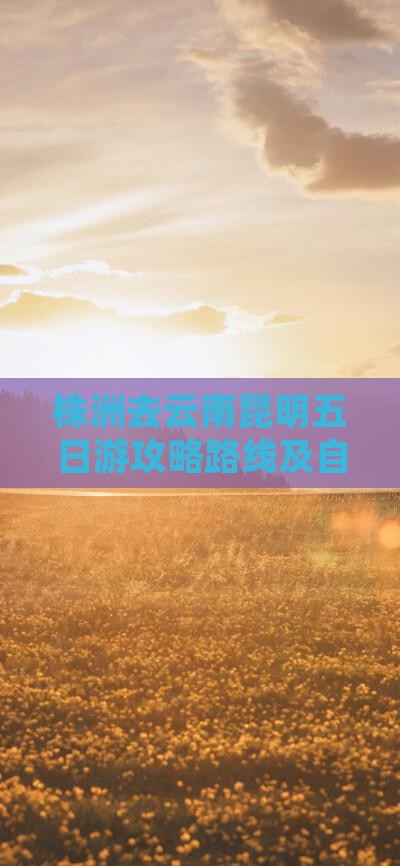 株洲去云南昆明五日游