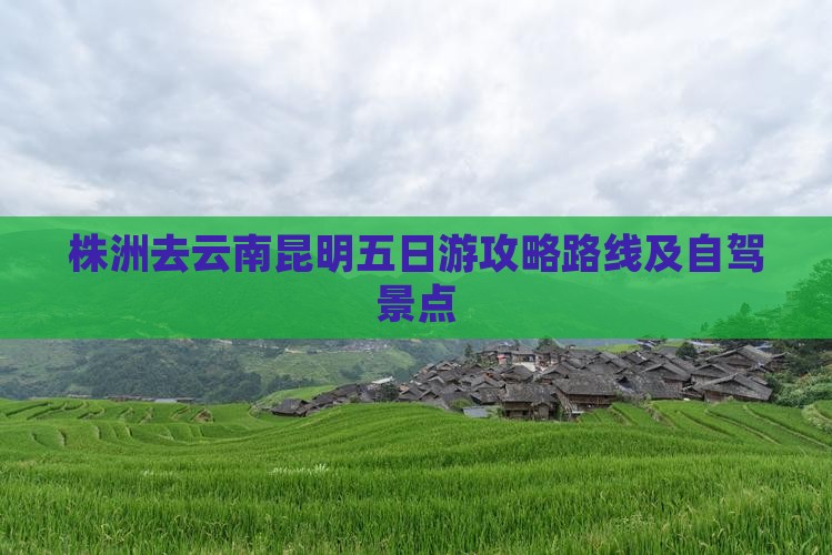 株洲去云南昆明五日游
