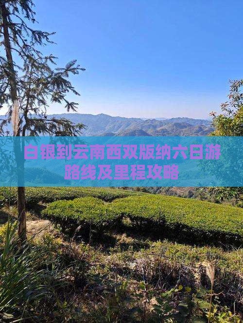 白银到云南西双版纳六日游 白银到云南西双版纳六日游