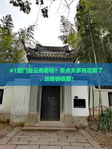 厦门到云南景点