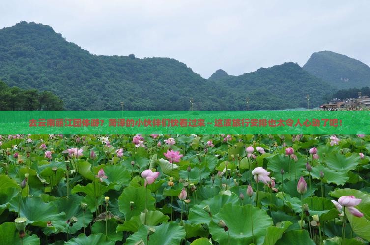菏泽去云南丽江团体旅游