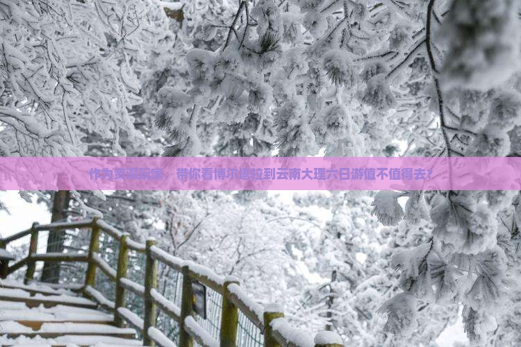 博尔塔拉到云南大理六日游