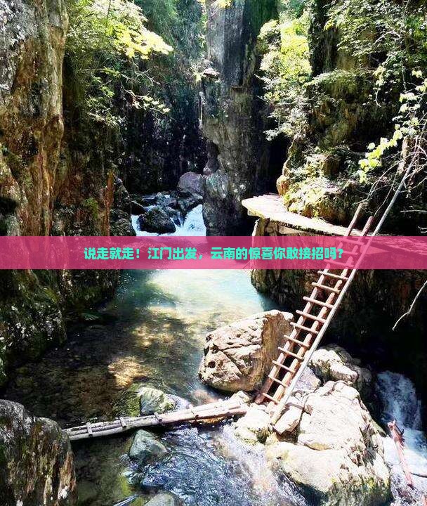 江门去云南旅游