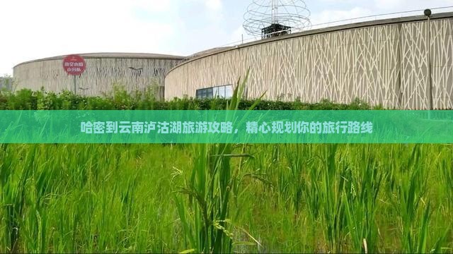 哈密到云南泸沽湖旅行社