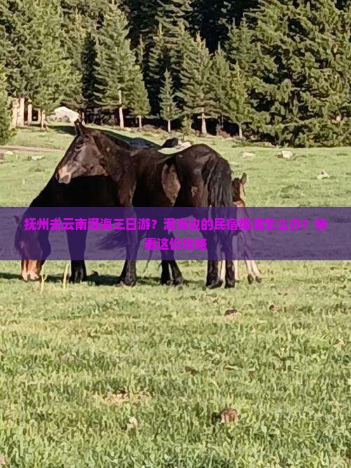抚州去云南洱海三日游