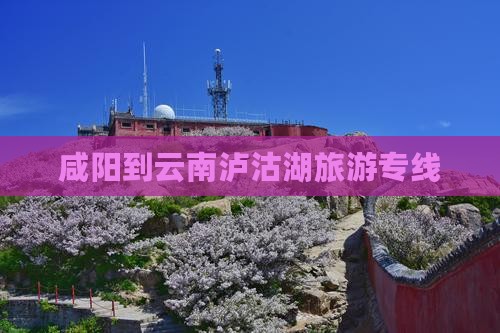 咸阳去云南泸沽湖旅行社