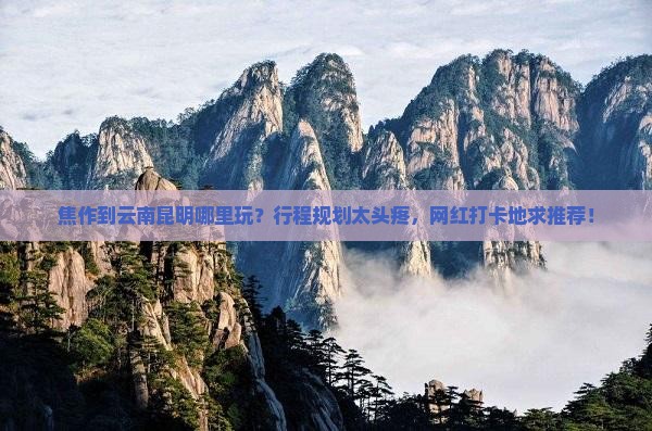 焦作到云南昆明哪里玩