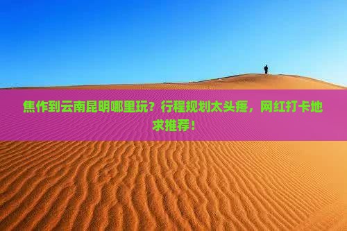 焦作到云南昆明哪里玩